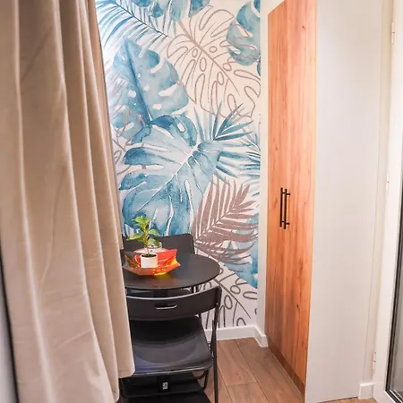 Cuzi House Apartment *